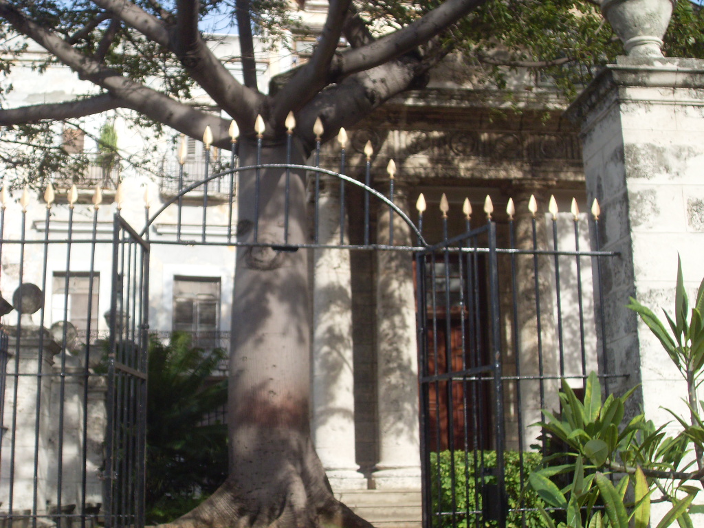 La Ceiba
