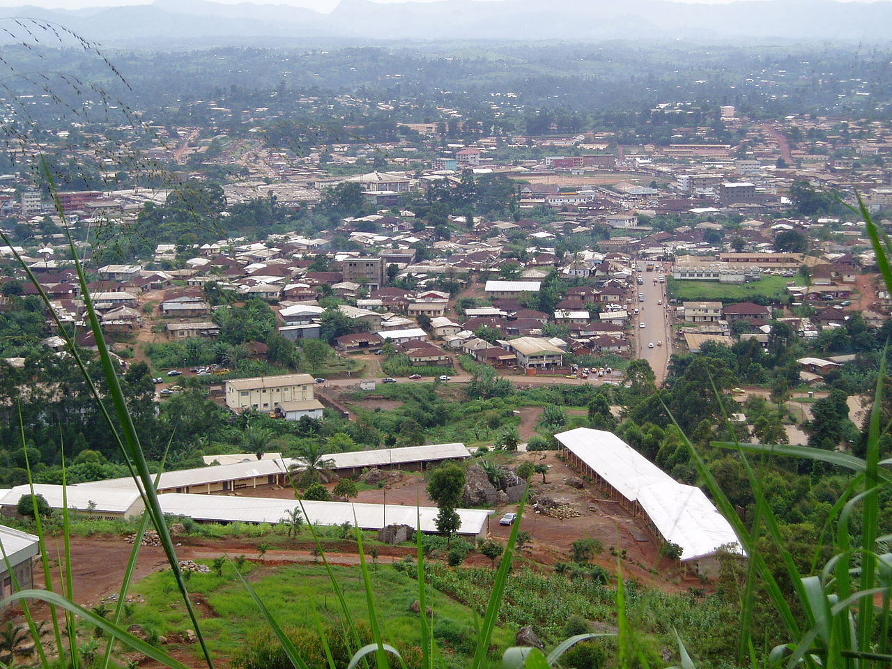 Bamenda