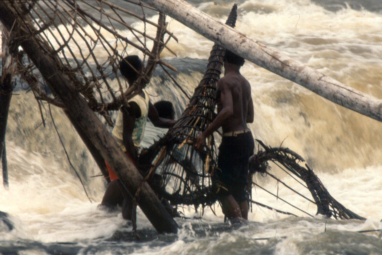Kisangani