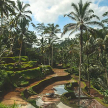 Bali